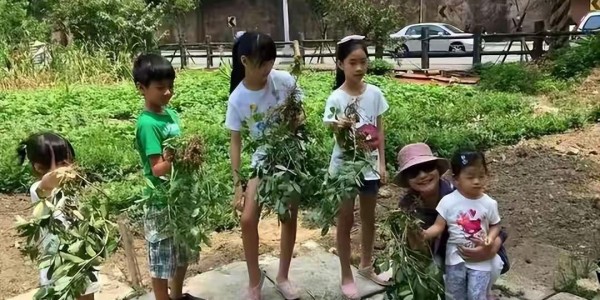 乐鱼体育官方入口-小玥儿开通个人账号！发文求救，晒照思念妈妈，外婆和小S是好友