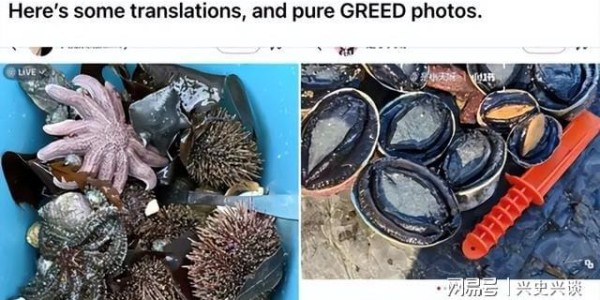 乐鱼体育官方网站-大规模抗议爆发, 针对华人! 本地人在海边用中文横幅抵制!